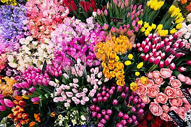 《索尼克 缤纷色彩 究极版》预告片展示新版元素